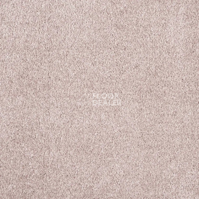 Ковролин AW Invictus Carolus 60 фото 1 | FLOORDEALER